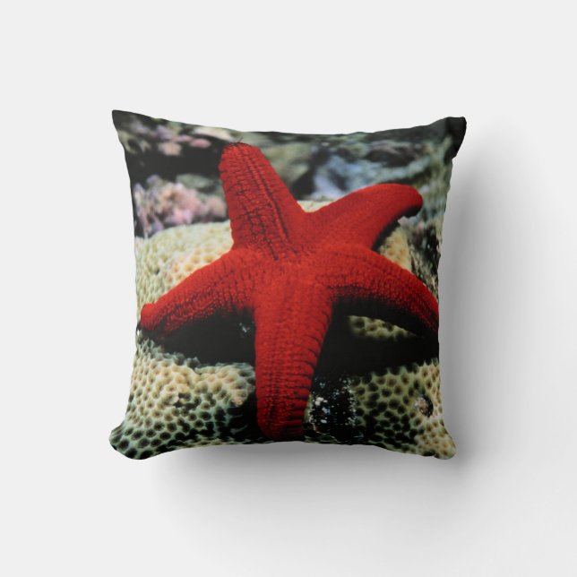 Rotes Meer der Stern-Fisch-| Kissen (Vorderseite)