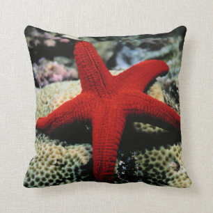 Rotes Meer der Stern-Fisch- Kissen