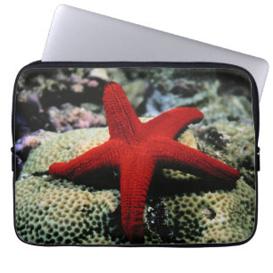 Rotes Meer der Stern-Fisch- Laptopschutzhülle