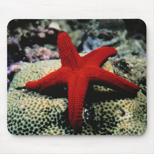 Rotes Meer der Stern-Fisch-| Mousepad (Vorne)