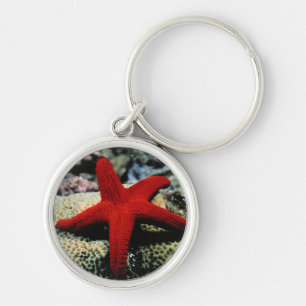 Rotes Meer der Stern-Fisch-  Schlüsselanhänger