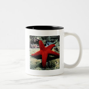 Rotes Meer der Stern-Fisch-  Zweifarbige Tasse
