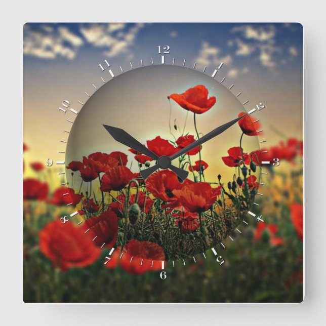 Rotes Mohnblumen-Feld Quadratische Wanduhr (Vorderseite)