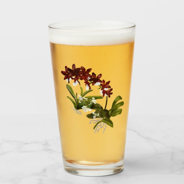 Rotes Orchid-Glas Glas (Vorne (Gefüllt))