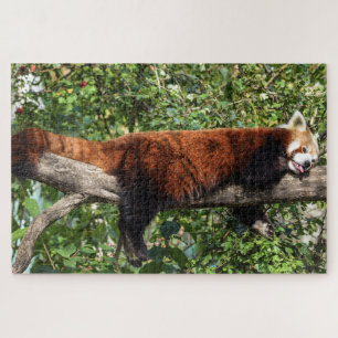 Rotes Panda-Puzzle Puzzle