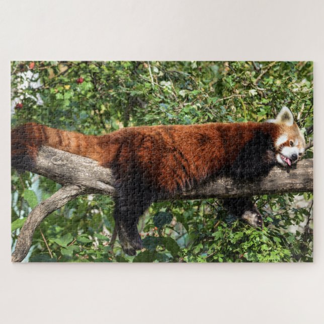 Rotes Panda-Puzzle Puzzle (Horizontal)