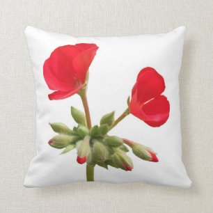 Rotes Pelargonie-Kissen Kissen