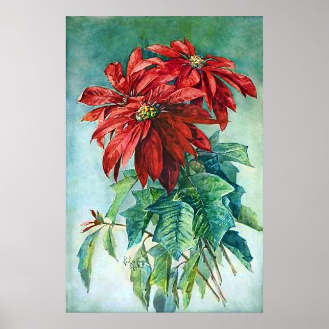 Rotes Poinsettia Blume Vintage Malerei Poster (Vorne)