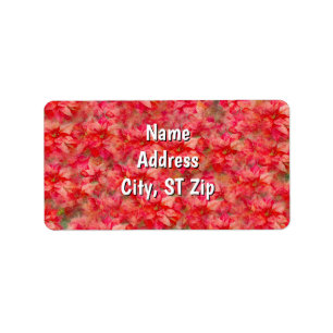 Rotes Poinsettia-Blumenkunst-Adresslabel Adressaufkleber