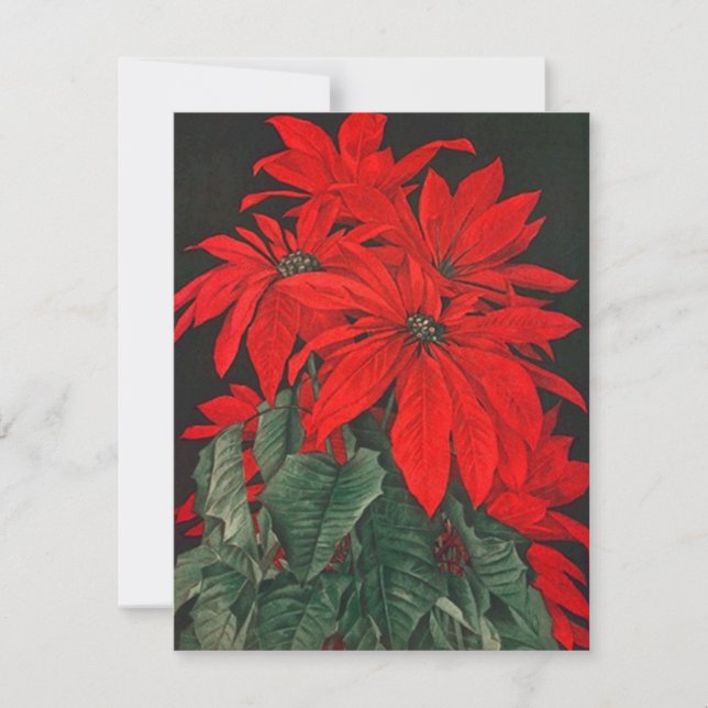 ROTES POINSETTIA BOUQUET HOLIDAY PARTY INVITATIONE EINLADUNG (Vorderseite)