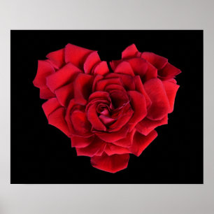 Rotes Rosenherz auf Schwarz Poster