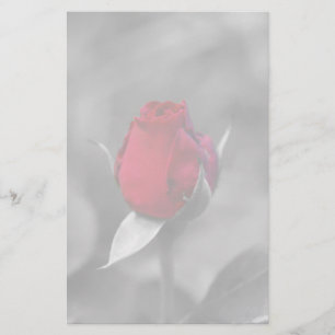 Rotes Rosenknospebriefpapier Briefpapier