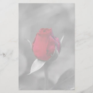 Rotes Rosenknospebriefpapier Briefpapier