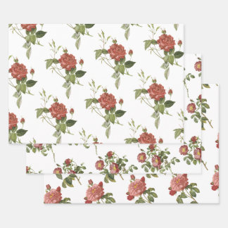 Rotes Rosenmuster Geschenkpapier Set