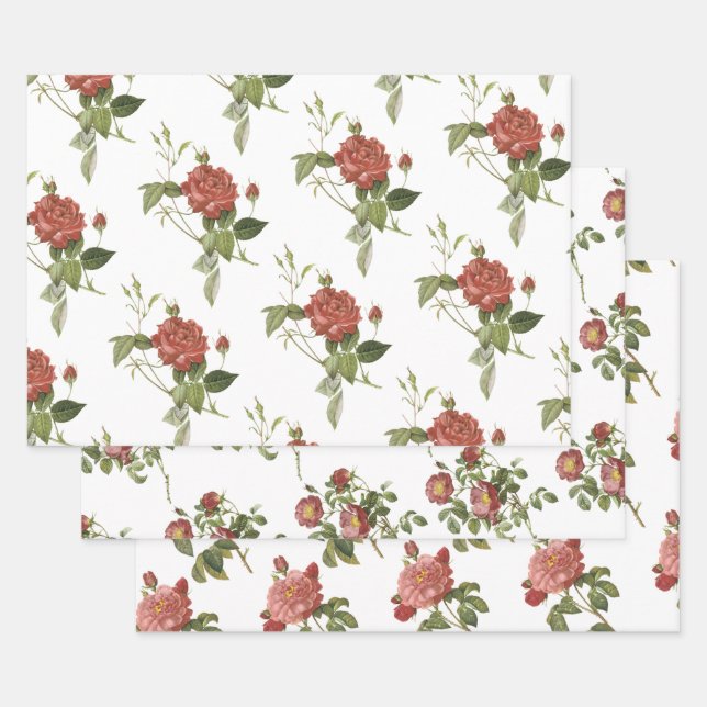 Rotes Rosenmuster Geschenkpapier Set (Set)