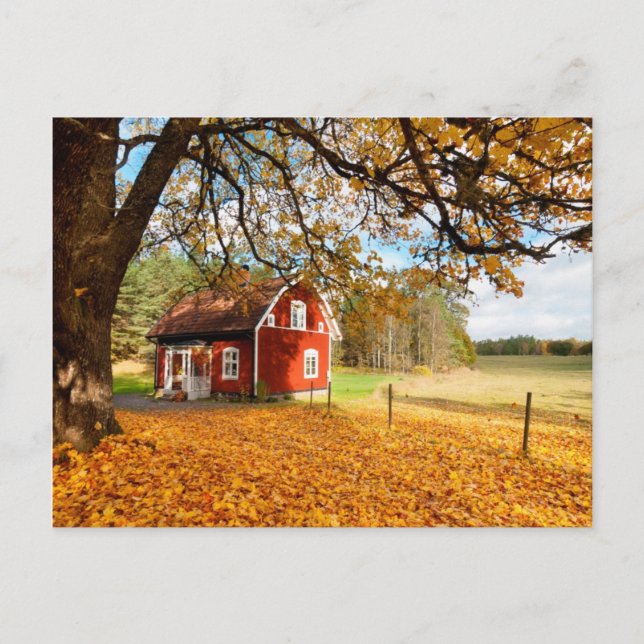 Rotes schwedisches Haus unter den Herbstblättern Postkarte (Vorderseite)