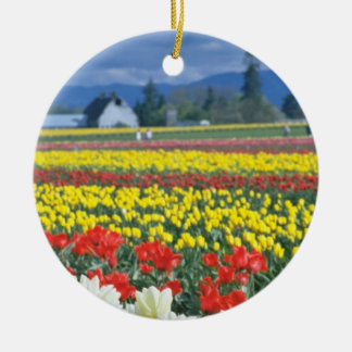 Rotes Skagit Tal, der Mount Rainier, Washington, Keramikornament