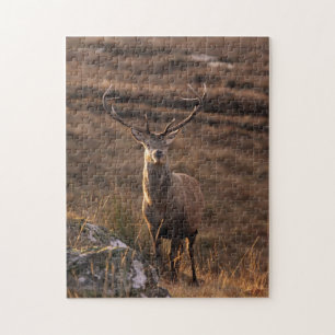 Rotes Stag Puzzle/Jigsaw Puzzle