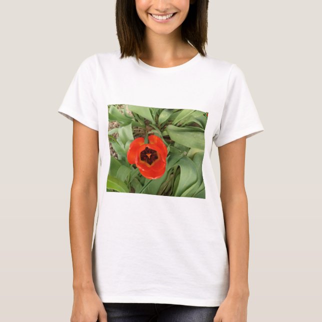 Rotes T-Shirt mit Tulpe für Frauen (Vorderseite)