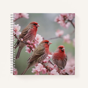 "Rotes Trio: Kardinale vor rosa Blüten" Notizbuch