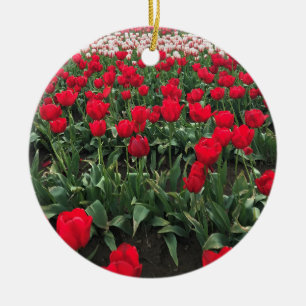 Rotes Tulip Feld, Oregon Keramik Ornament