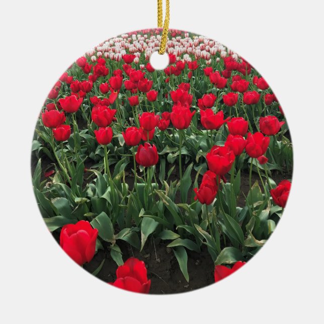 Rotes Tulip Feld, Oregon Keramik Ornament (Vorne)