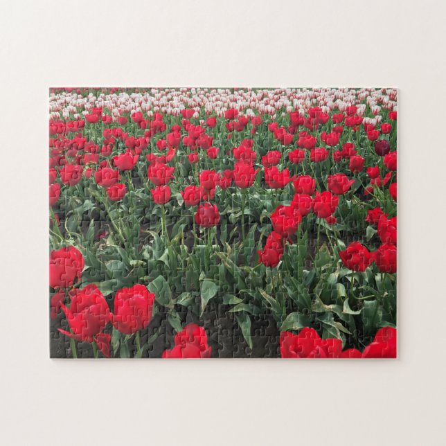 Rotes Tulip Feld, Oregon Puzzle (Horizontal)