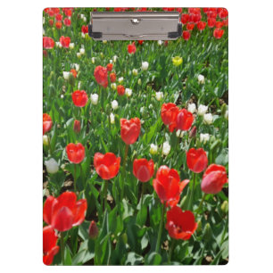 Rotes Tulpenblumenfeld Foto Klemmbrett