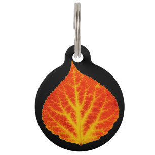 Rotes u. gelbes Aspen-Blatt #10 Haustiermarke