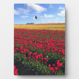 Rotes und gelbes Tulip-Feld mit Heißluftballon Fotoplatte