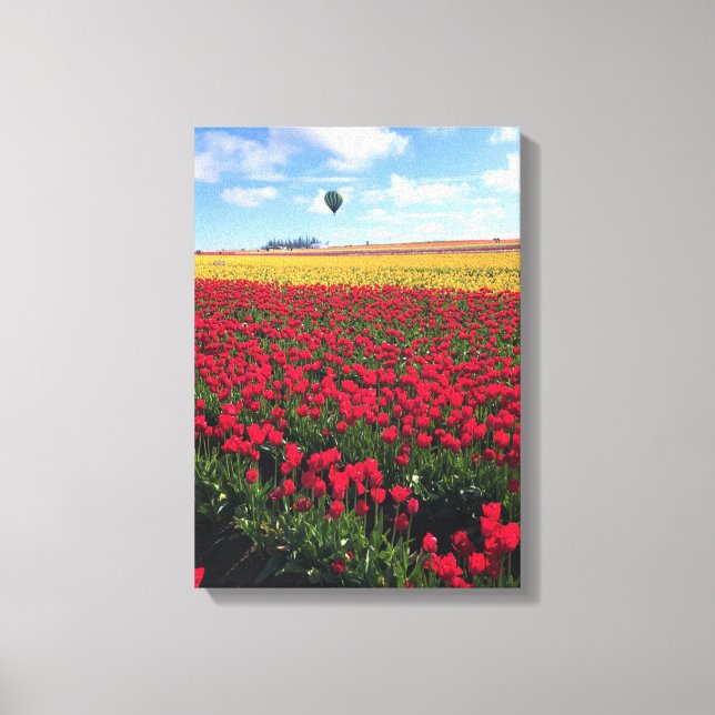 Rotes und gelbes Tulip-Feld mit Heißluftballon Leinwanddruck (Vorderseite)