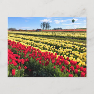 Rotes und gelbes Tulip-Feld mit Heißluftballon Postkarte