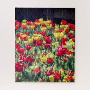 Rotes und gelbes Tulip-Feld Puzzle