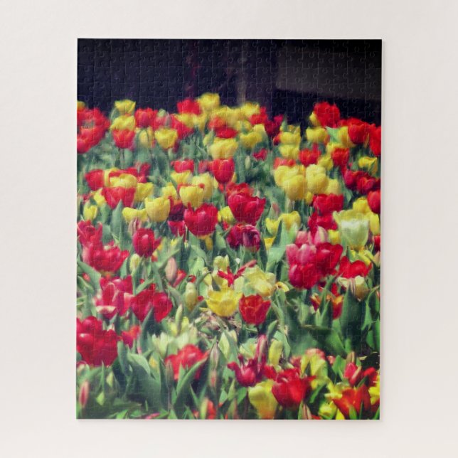 Rotes und gelbes Tulip-Feld Puzzle (Vertikal)