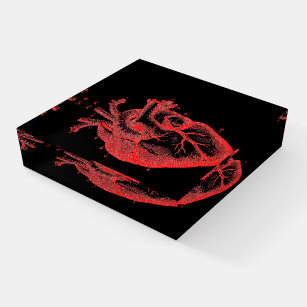 Rotes und schwarzes anatomisches Herzglas Paperwei Briefbeschwerer