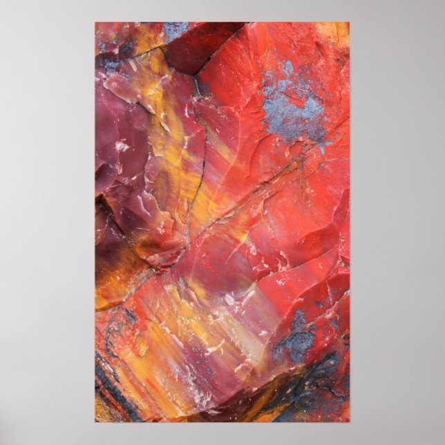 Rotes versteinertes Holz, Arizona Poster (Vorne)