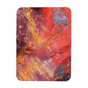 Rotes versteinertes Holzdetail, Arizona Magnet