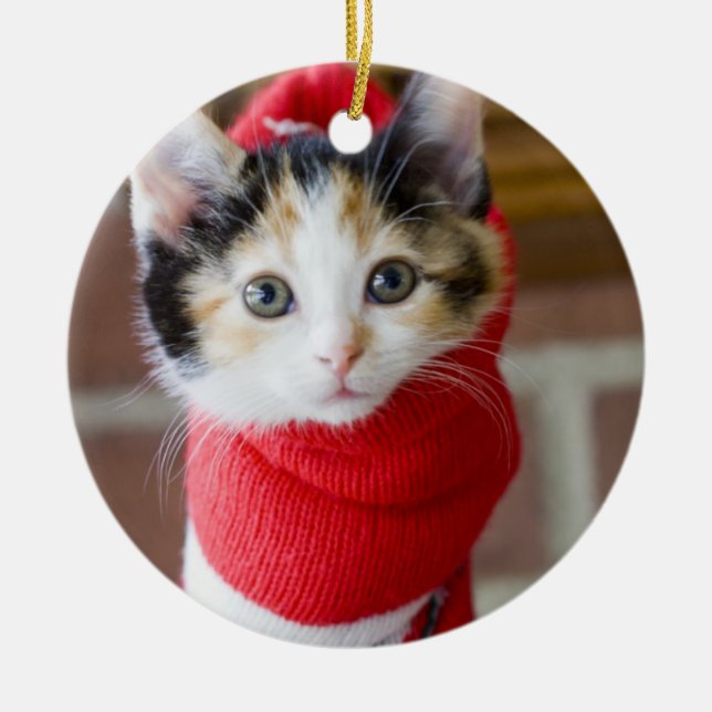 Rotes Weihnachtskätzchen Ornament Aus Metall (Vorne)