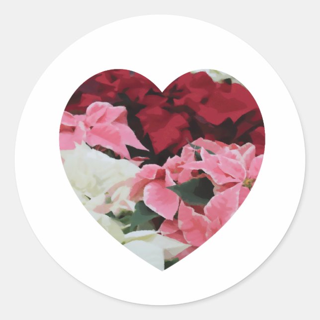 Rotes weißes und rosa Winterherz Poinsettia Runder Aufkleber (Vorderseite)