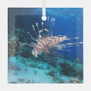 Rotfeuerfisch oder Pterois Miles, Riff-Fisch Ornament Aus Glas