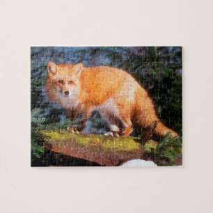 Rotfuchs auf einem Baumstamm Puzzle