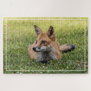 Rotfuchs auf einem Bettsockel aus Klee (horizontal Puzzle