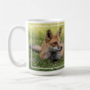 Rotfuchs auf einem Bettsockel Kaffeetasse