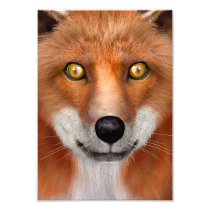 Rotfuchs Fotodruck