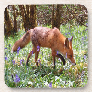 Rotfuchs Friedliche Waldszene Blauglocken Set 6 Getränkeuntersetzer