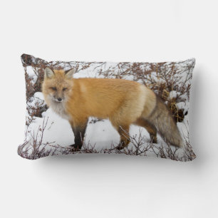 Rotfuchs im Schnee im Winter Lendenkissen