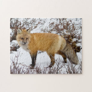 Rotfuchs im Schnee im Winter Puzzle
