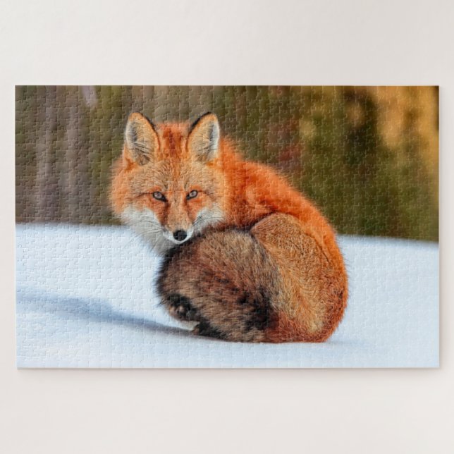 Rotfuchs im Schnee | Yukon Puzzle (Horizontal)