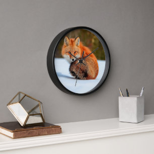 Rotfuchs im Schnee   Yukon Uhr