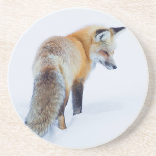 Rotfuchs im Winter Getränkeuntersetzer
